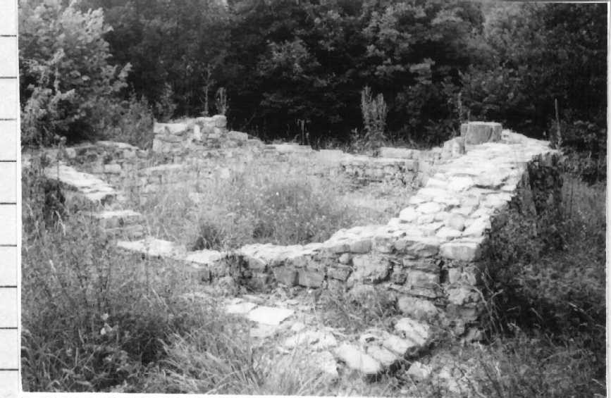 Chiesa Romanica di S. Stefano (chiesa, ruderi abside) - Isola del Cantone (GE)  (XIII)