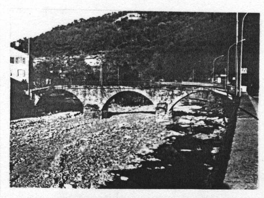 Ponte medievale (ponte, medioevale) - Recco (GE)  (XIII)