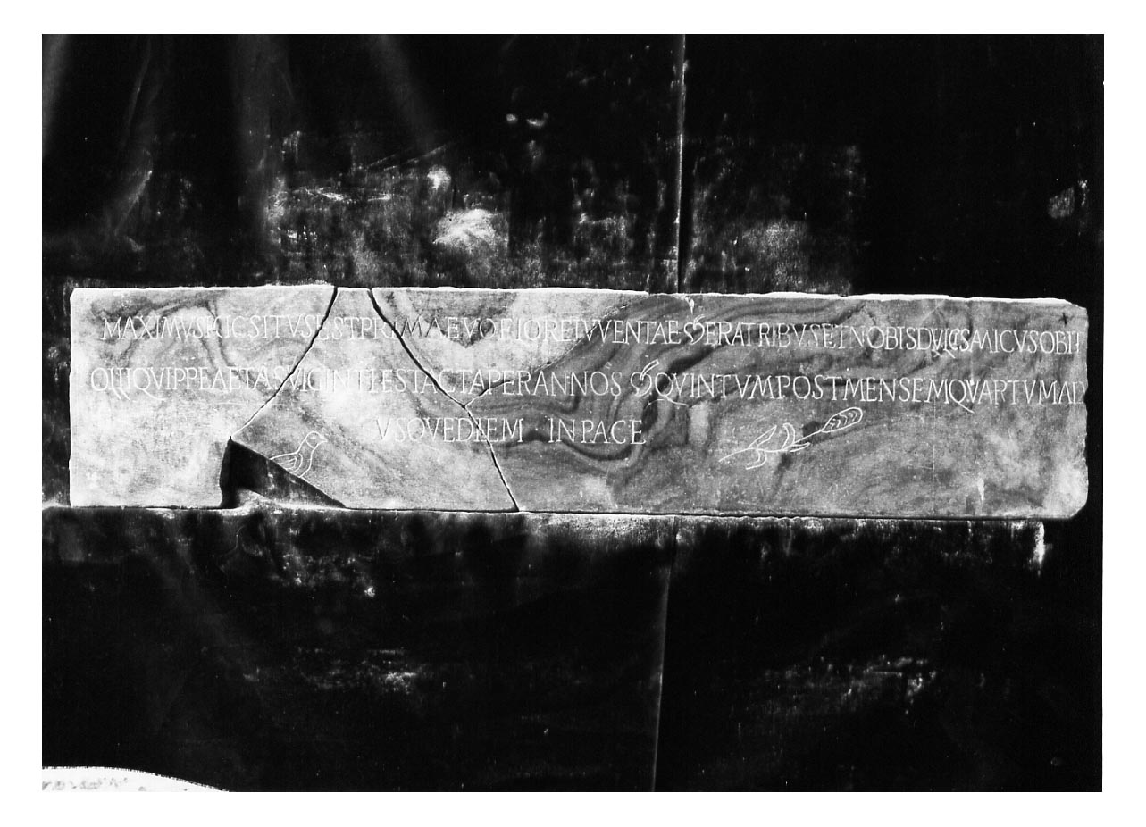 iscrizione funeraria (copia) - riproduzione moderna di iscrizione antica (secc. XVII d.C)