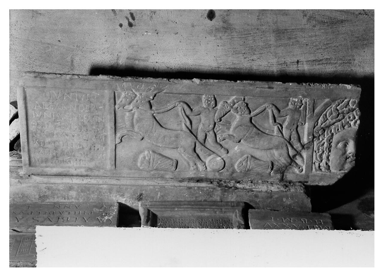 sarcofago/ coperchio, sarcofago con iscrizione - Età romana (sec. III d.C)