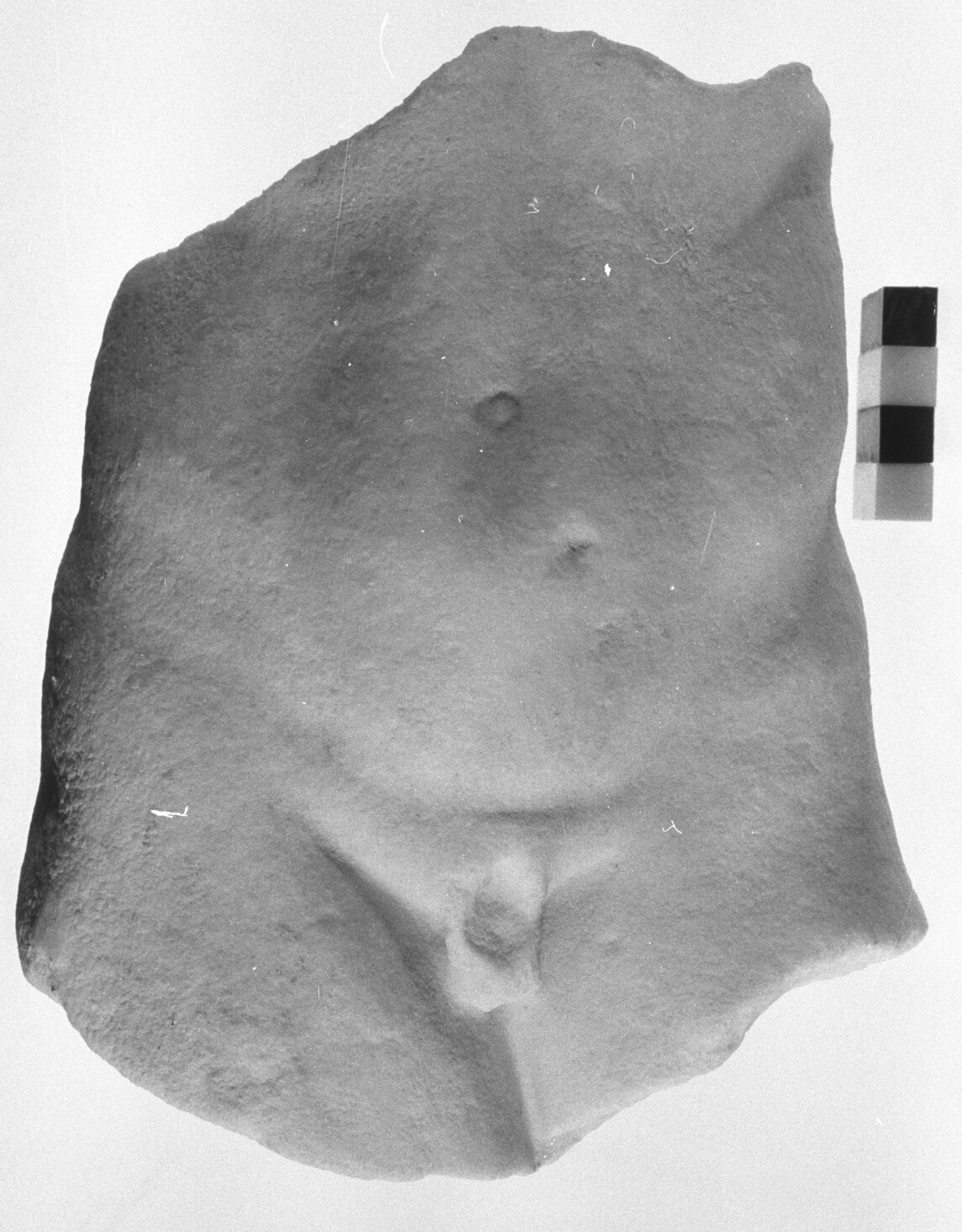 Efebo nudo (statua maschile/frammento) (prima metà sec. II d.C)