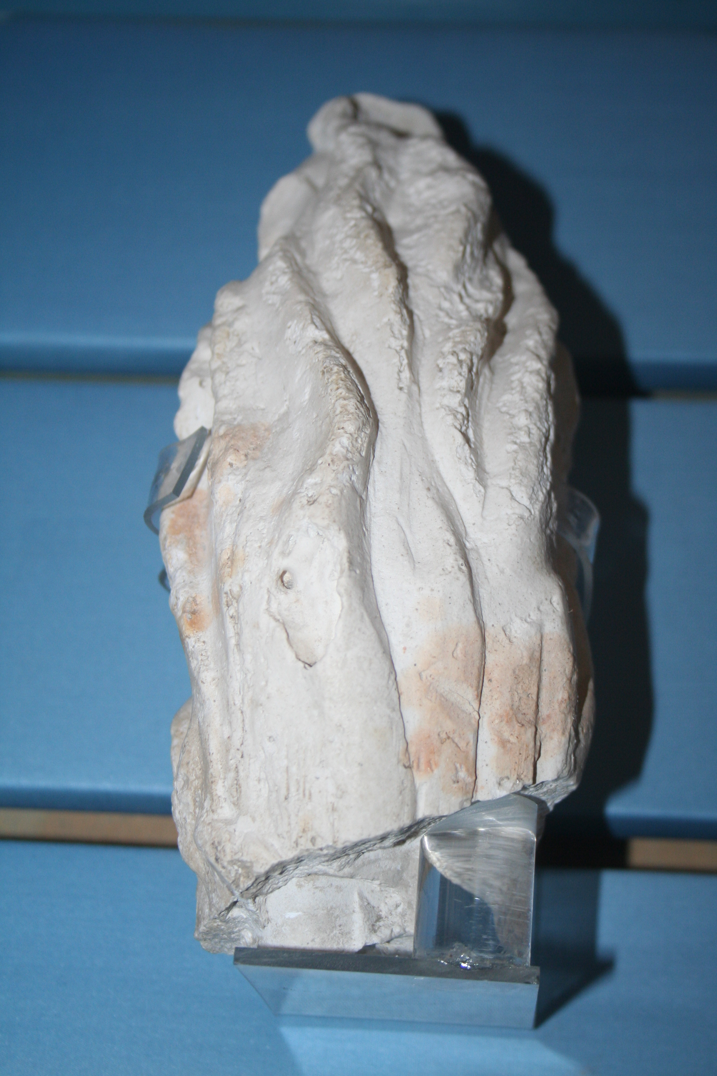 statua (I)