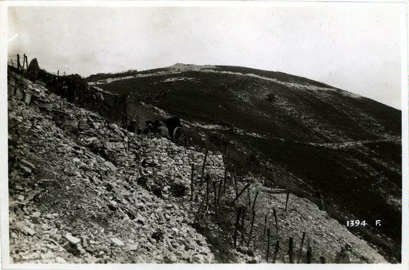 Veneto - Val Brenta - Monte Grappa - Col Moschin - trincee - reticolati - mascheramenti - artiglieria - pezzi - cannoni - 1918 (positivo) di Marzocchi, Luigi (primo quarto XX)