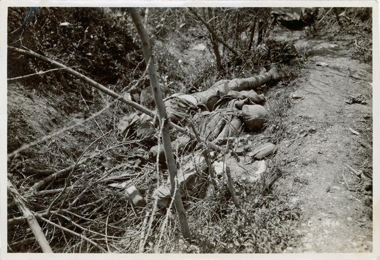 Veneto - Fossalta - caduti - cadaveri - morte - 1918 (positivo) di Marzocchi, Luigi (primo quarto XX)