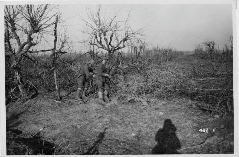 Caposile - reticolati - difese - mitragliatrici - 1918 (positivo) di Marzocchi, Luigi (primo quarto XX)