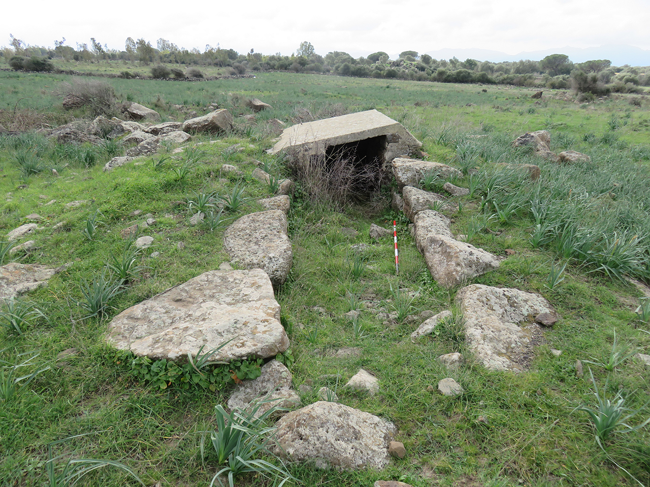 Tomba di giganti Sa Domu Beccia (tomba di giganti, area ad uso funerario) - Uras (OR)  (Età del Bronzo)