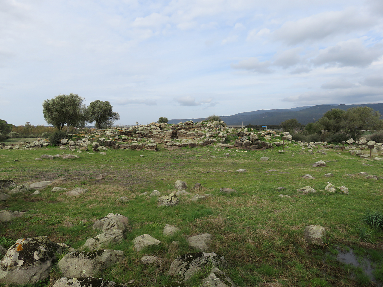 Nuraghe Sa Domu Beccia (nuraghe, struttura di fortificazione) - Uras (OR)  (Età del Bronzo-Età moderna)