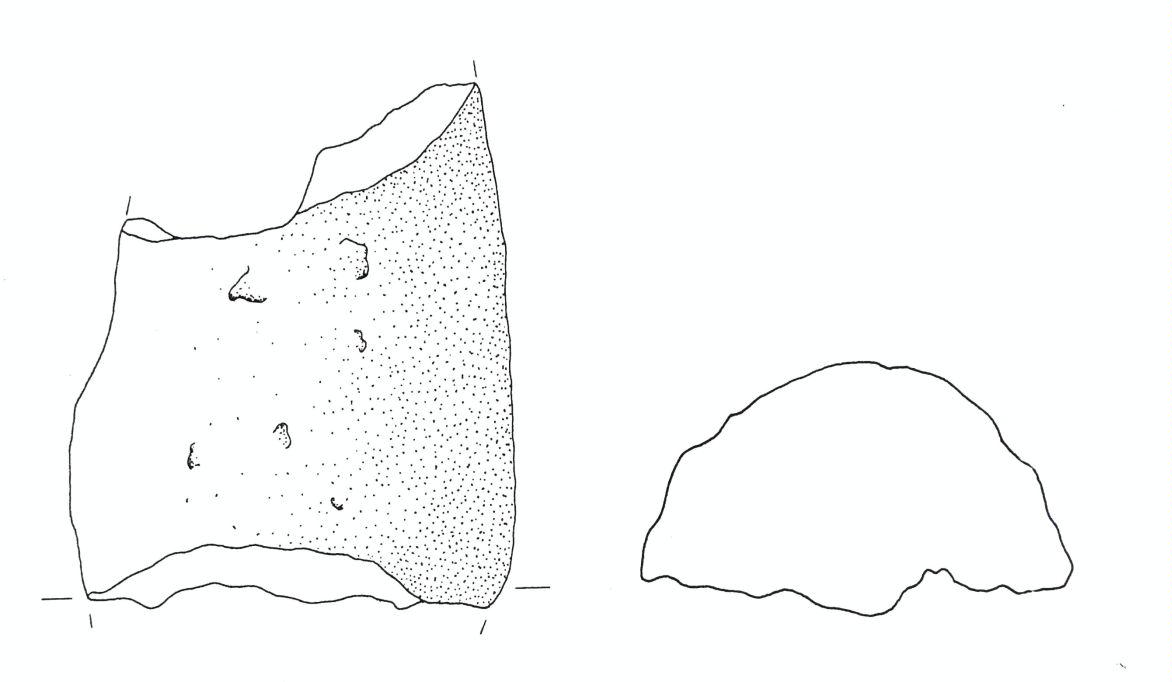 pane/frammento - Cultura dell'età del bronzo finale-Friuli Centrale (fine/inizio tarda età del Bronzo)