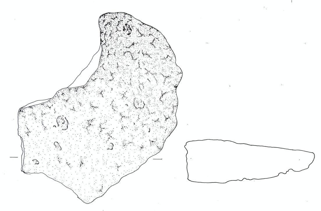 panella/frammento - Cultura dell'età del bronzo finale-Friuli Centrale (fine/inizio tarda età del Bronzo)
