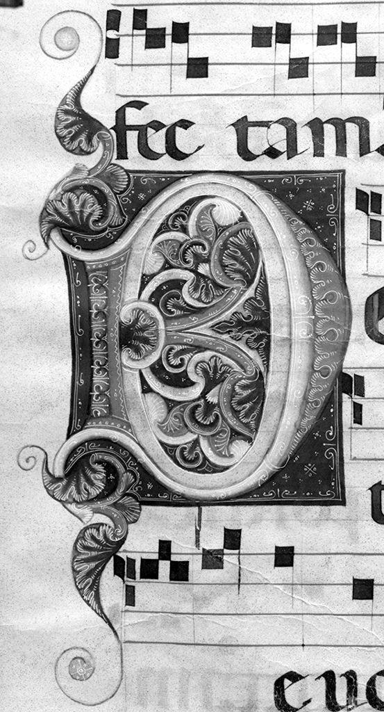 lettera D (miniatura) - ambito fiorentino-aretino (sec. XIII)