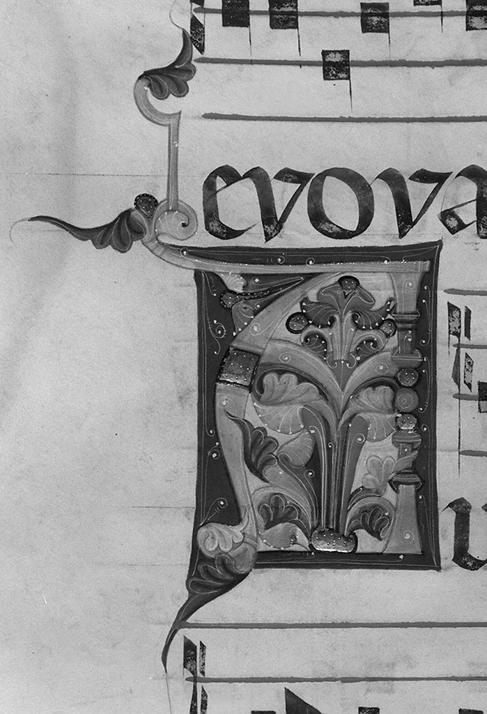 lettera A (miniatura) - ambito fiorentino-aretino (sec. XIII)