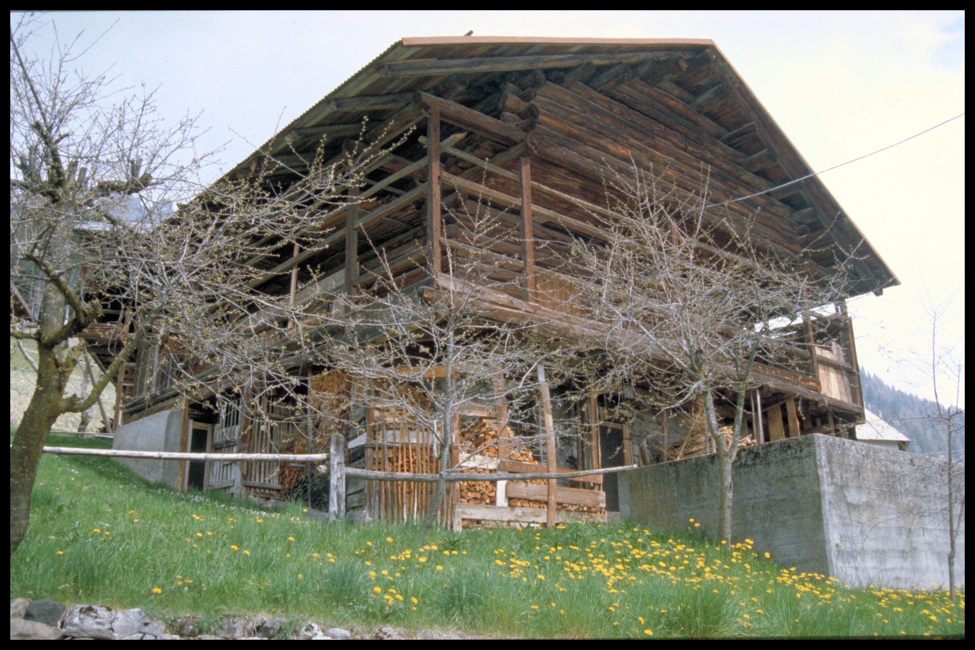 tabià (tabià, rurale) - Vallada Agordina (BL) 