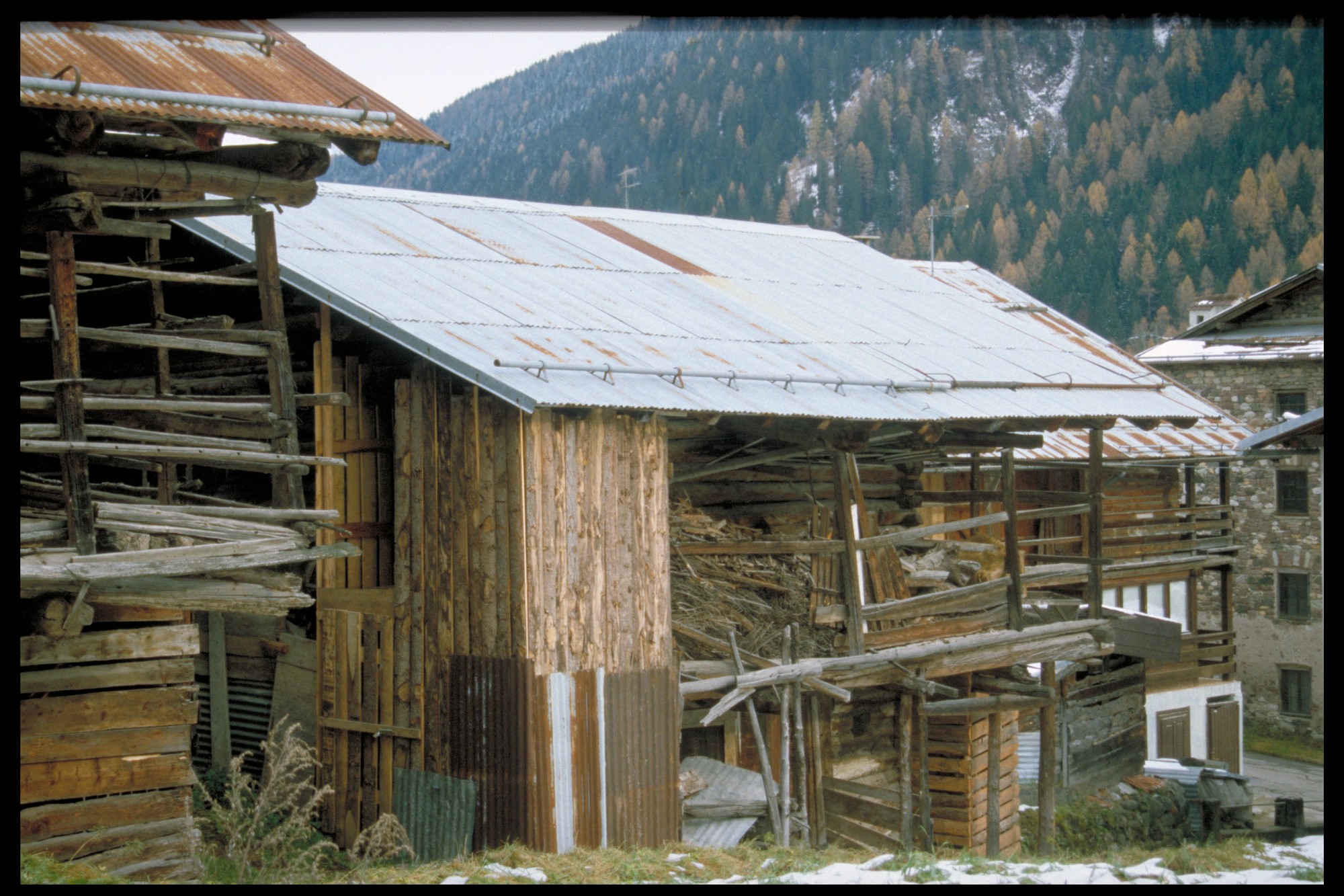 tabià (tabià, rurale) - Falcade (BL) 