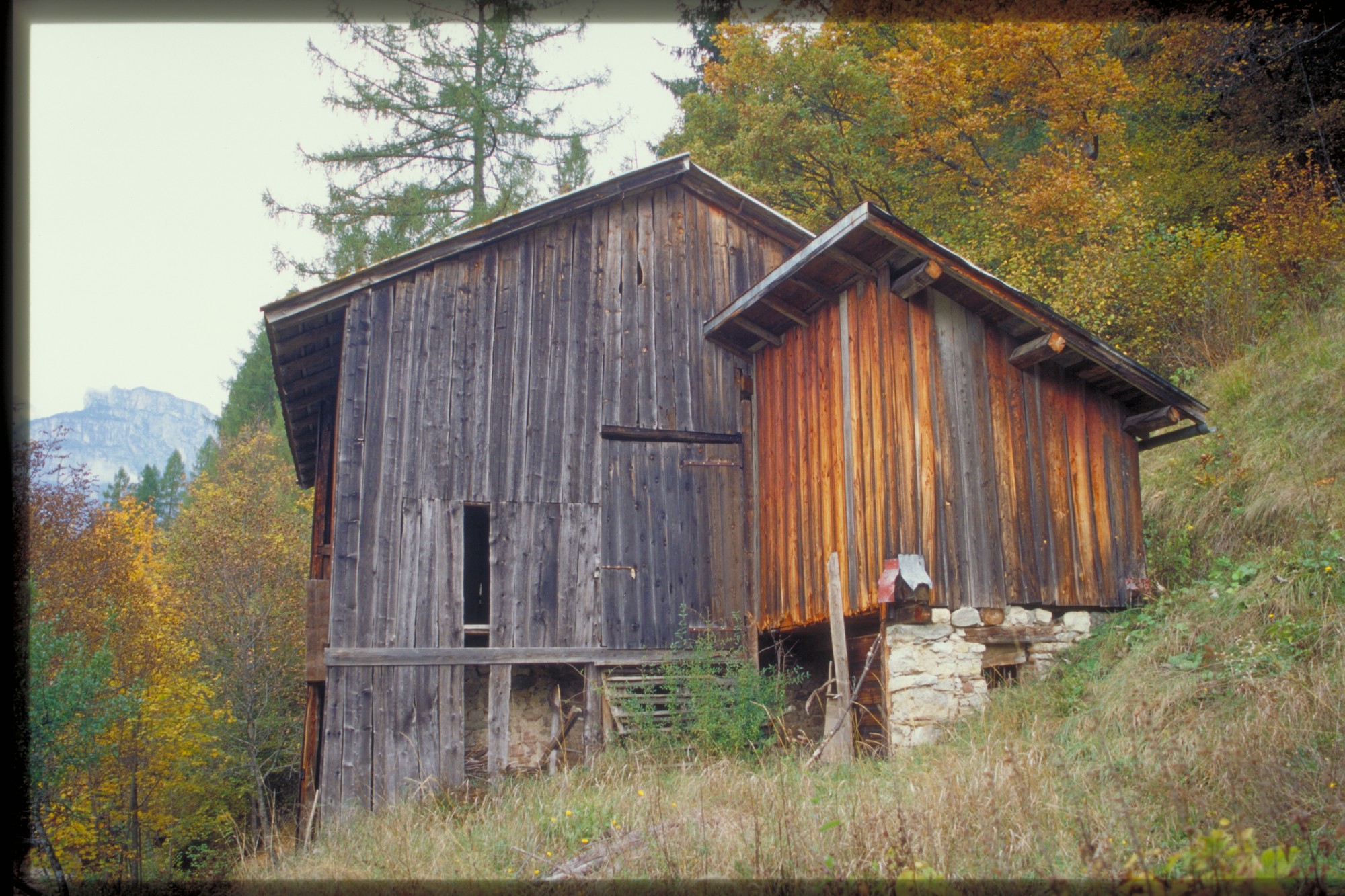 stalla fienile (fienile//stalla, rurale) - Agordo (BL) 