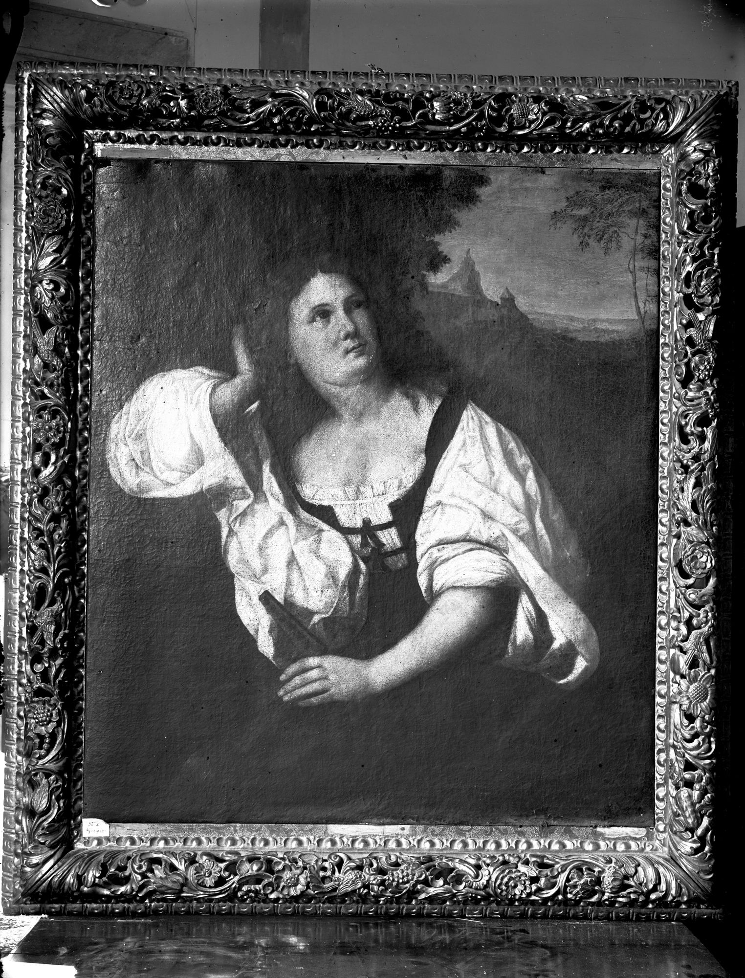 Villa Colpo. Tela attribuita al Giorgione (negativo) di Gabinetto fotografico (XX)