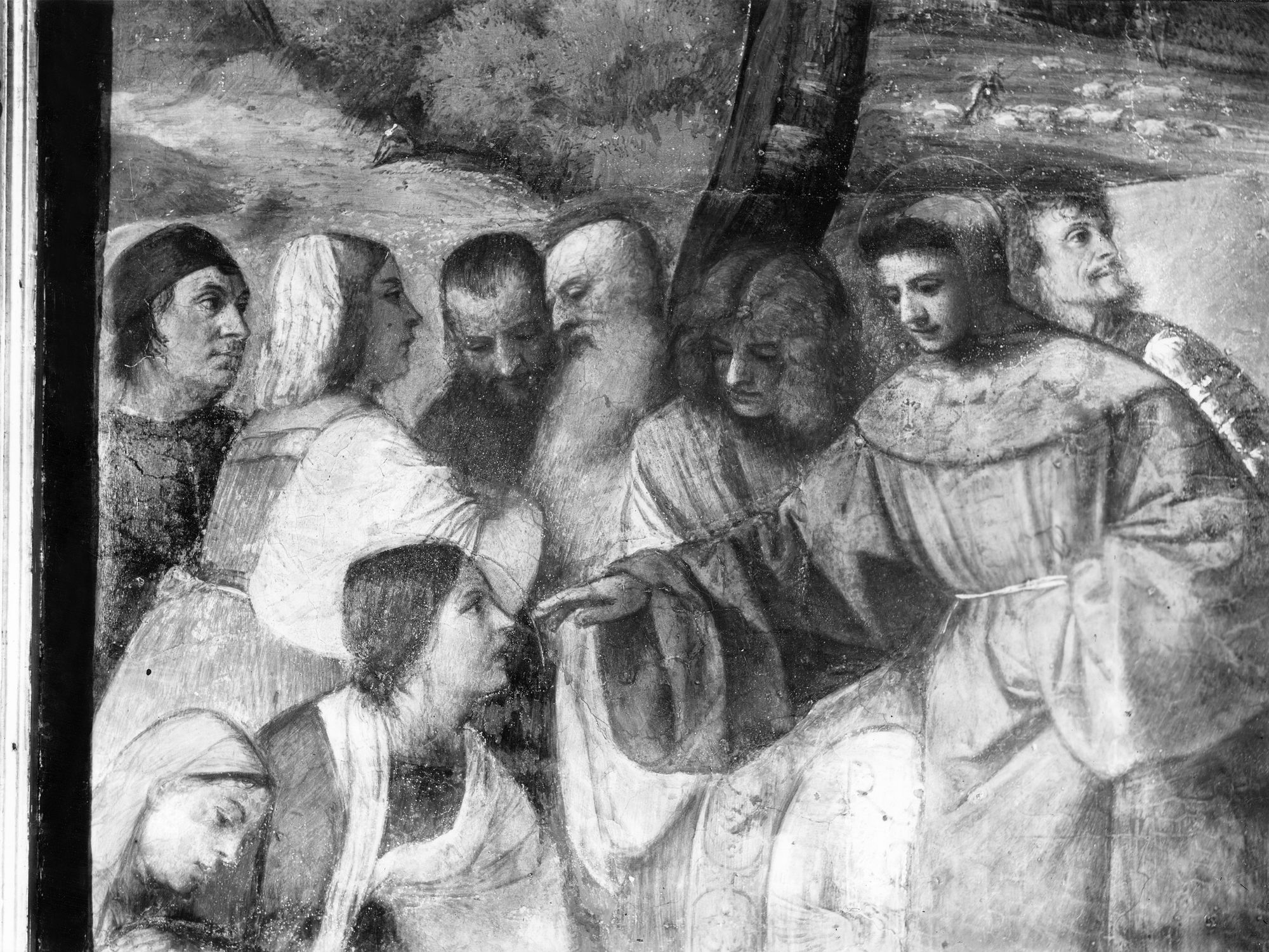 Basilica del Santo. Affreschi del Tiziano (negativo) di Gabinetto fotografico (XX)