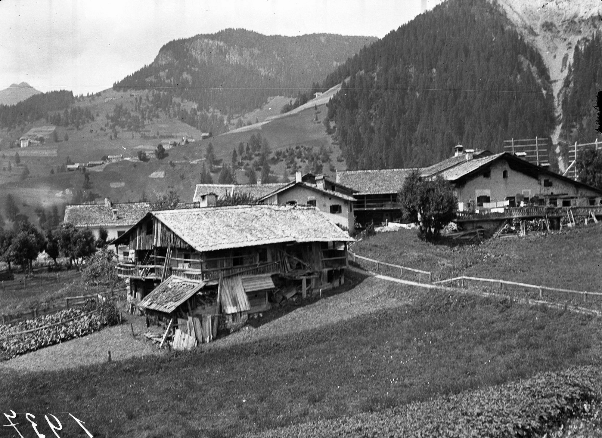 Selva di Cadore. Veduta del paese di Selva (negativo) di Ing. Ongaro (XX)