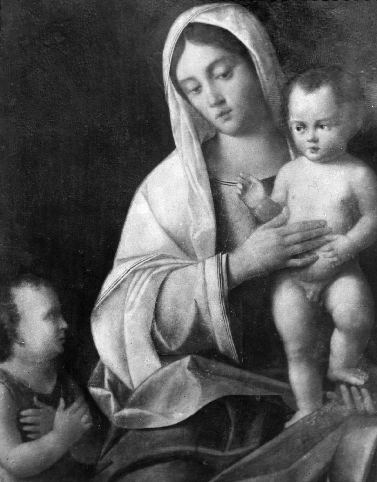 Pianiga. Chiesa. Madonna col Bambino e san Giovanni. Tavola attribuita al Bellini, trafugata (negativo) di Gabinetto fotografico (XX)