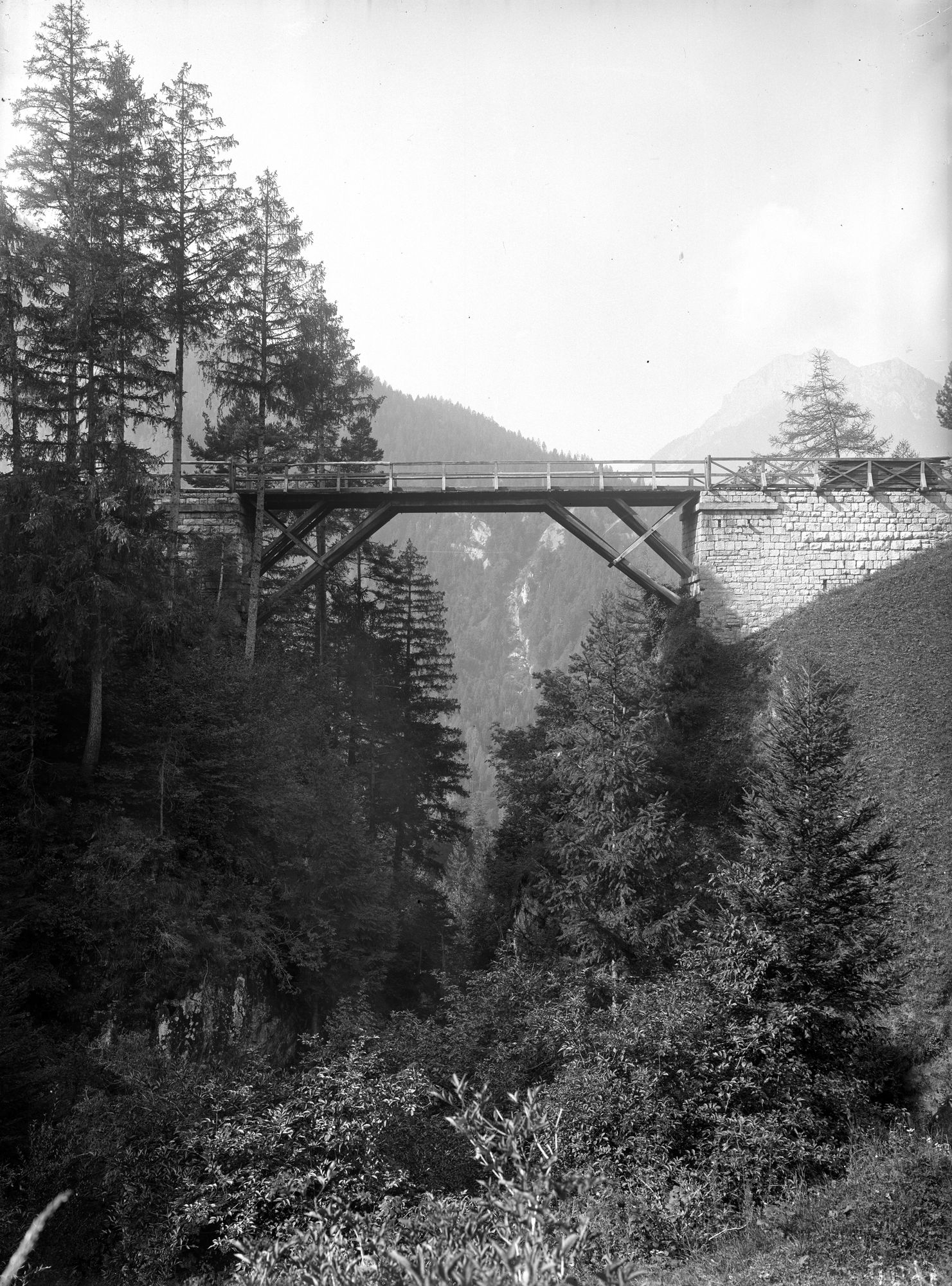 Valle di Cadore. Ponte di Rualan (negativo) di Gabinetto fotografico (XX)