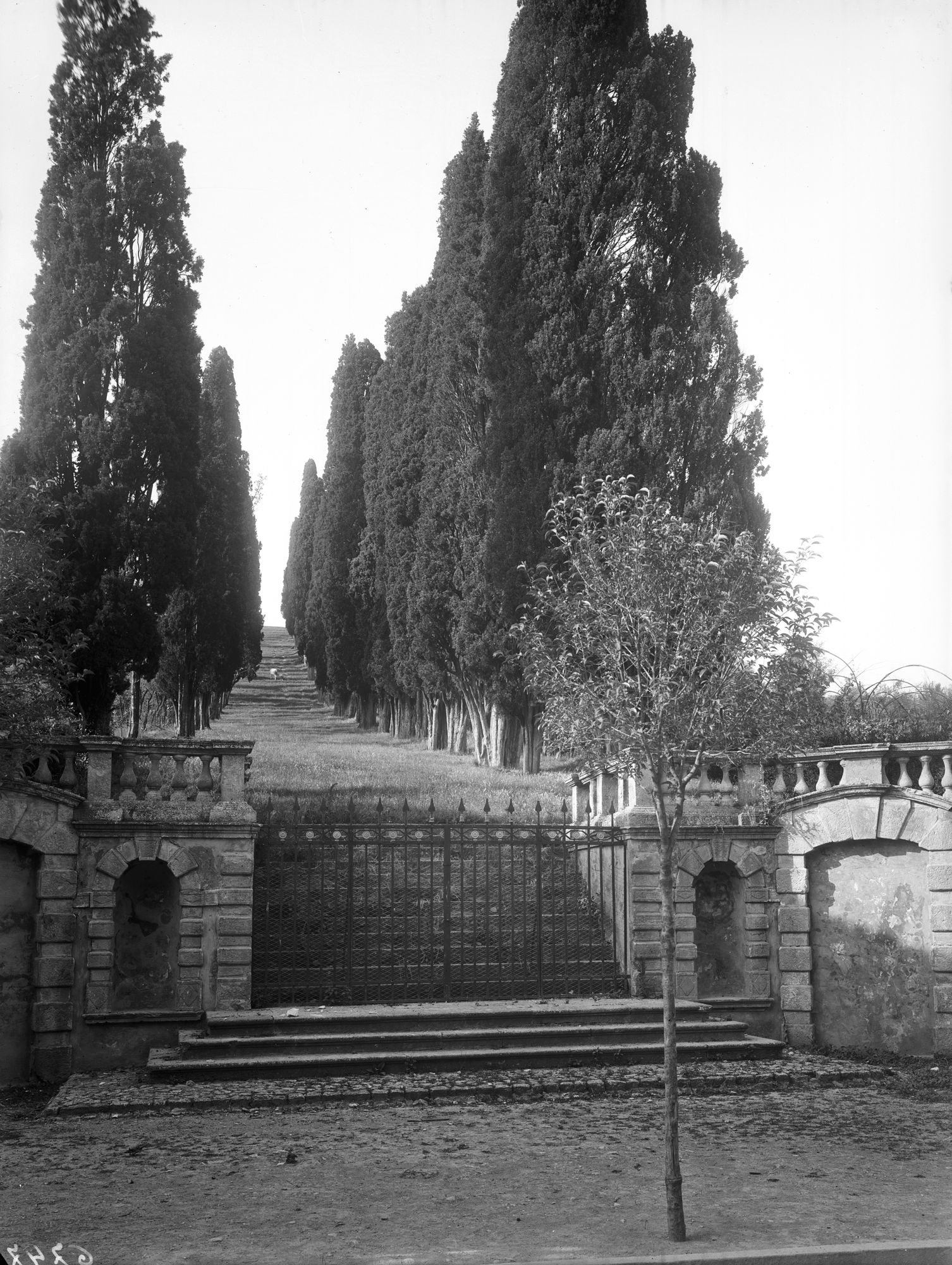 Giardino della villa Donà dalle Rose, ora Sagrè a Valsanzibio. Vari aspetti del giardino e del filiare di cipressi in fronte al cancello di accesso (negativo) di Gabinetto fotografico (XX)