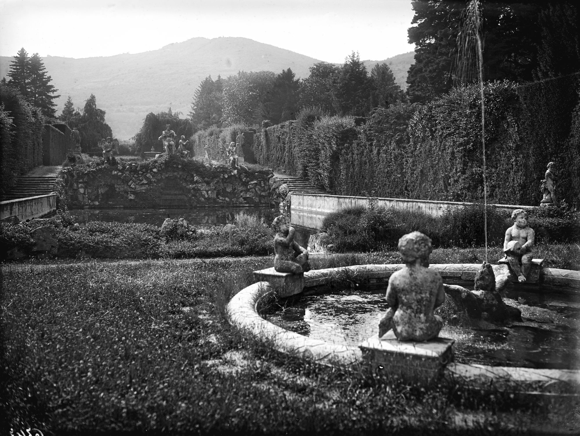 Giardino della villa Donà dalle Rose, ora Sagrè a Valsanzibio. Vari aspetti del giardino e del filiare di cipressi in fronte al cancello di accesso (negativo) di Gabinetto fotografico (XX)