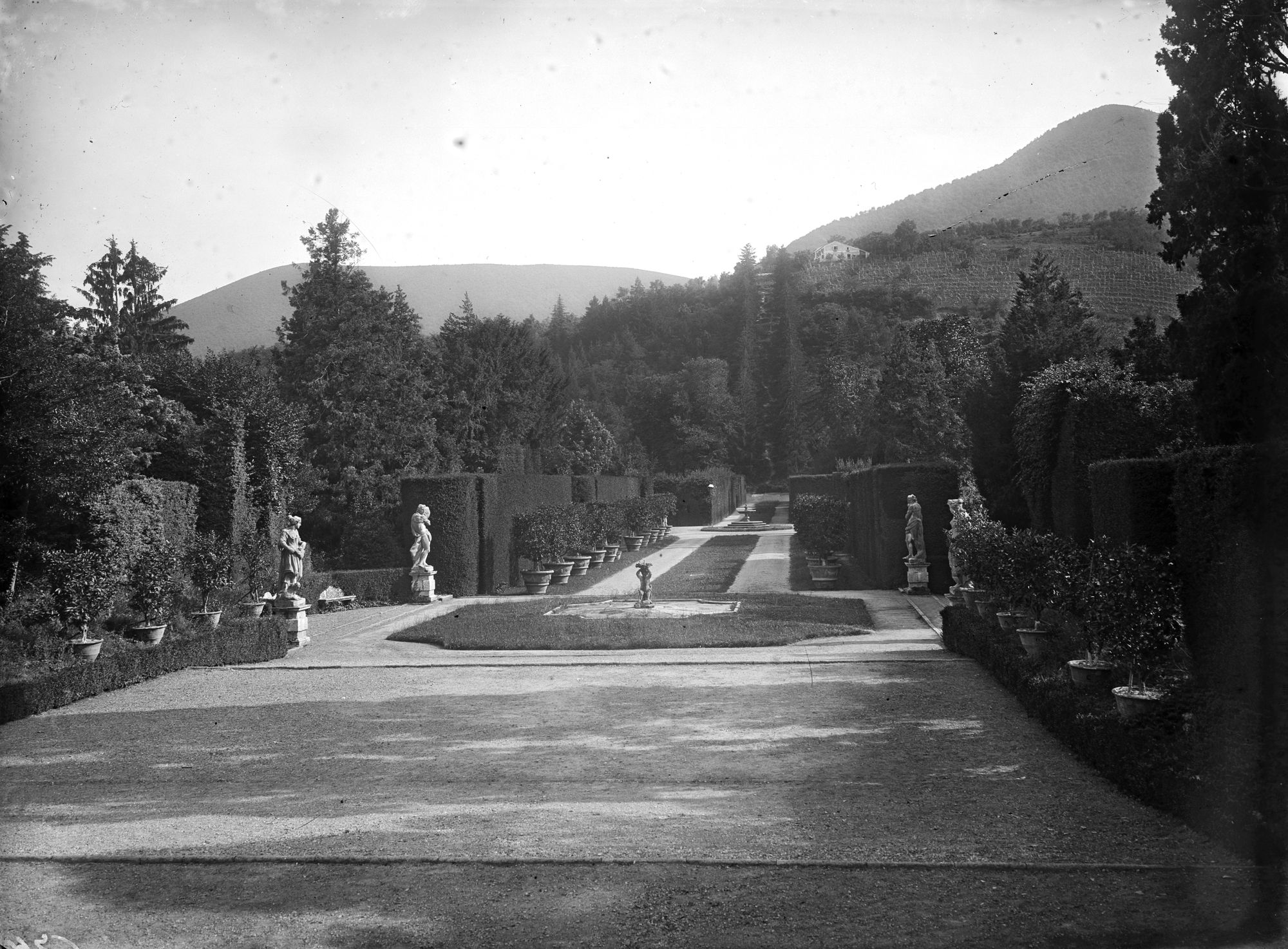 Giardino della villa Donà dalle Rose, ora Sagrè a Valsanzibio. Vari aspetti del giardino e del filiare di cipressi in fronte al cancello di accesso (negativo) di Gabinetto fotografico (XX)