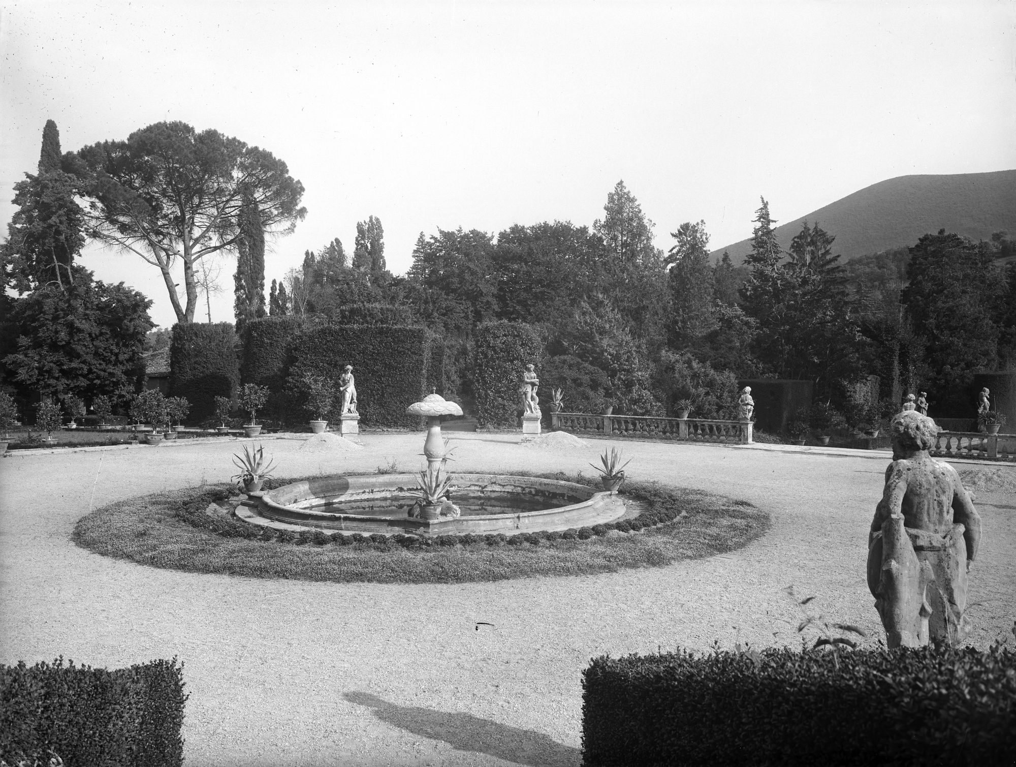 Giardino della villa Donà dalle Rose, ora Sagrè a Valsanzibio. Vari aspetti del giardino e del filiare di cipressi in fronte al cancello di accesso (negativo) di Gabinetto fotografico (XX)