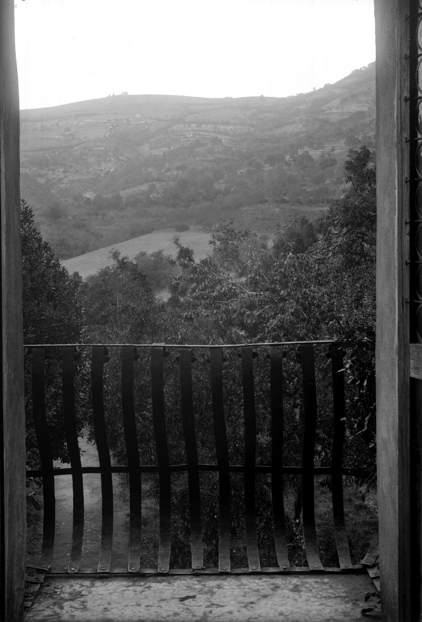 Arquà Petrarca. Veduta dalla finestra presso cui si rifugiava il Petrarca (negativo) di Gabinetto fotografico (XX)
