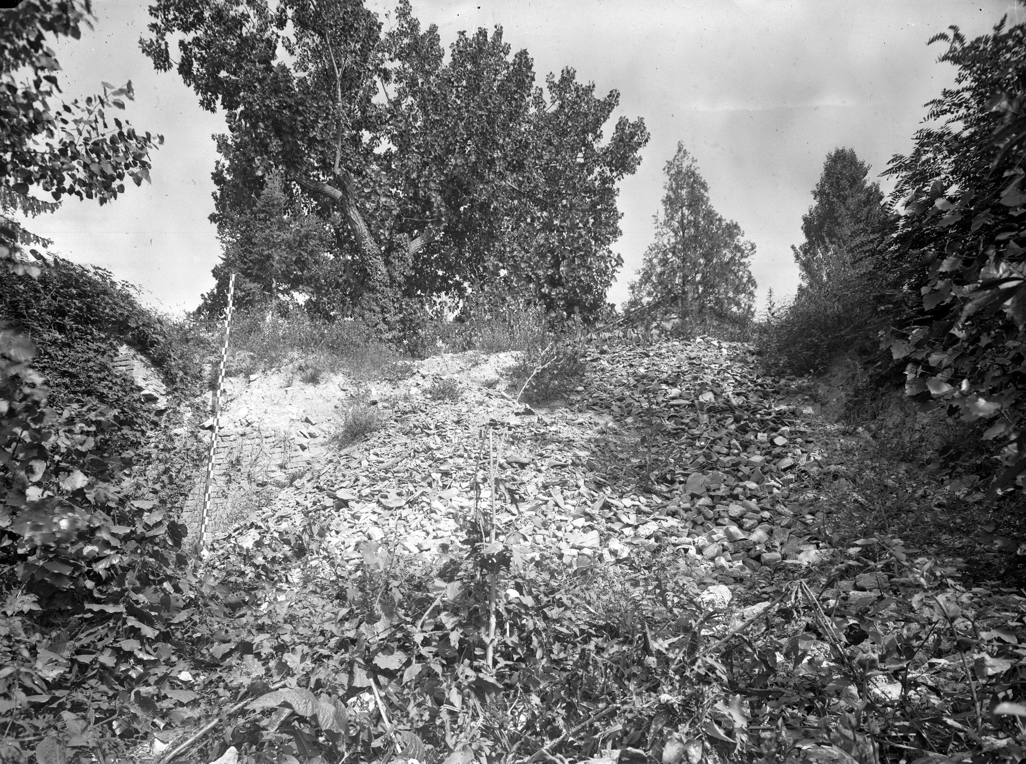 Mura. Le mura lungo il canale della polveriera (negativo) di Gabinetto fotografico (XX)