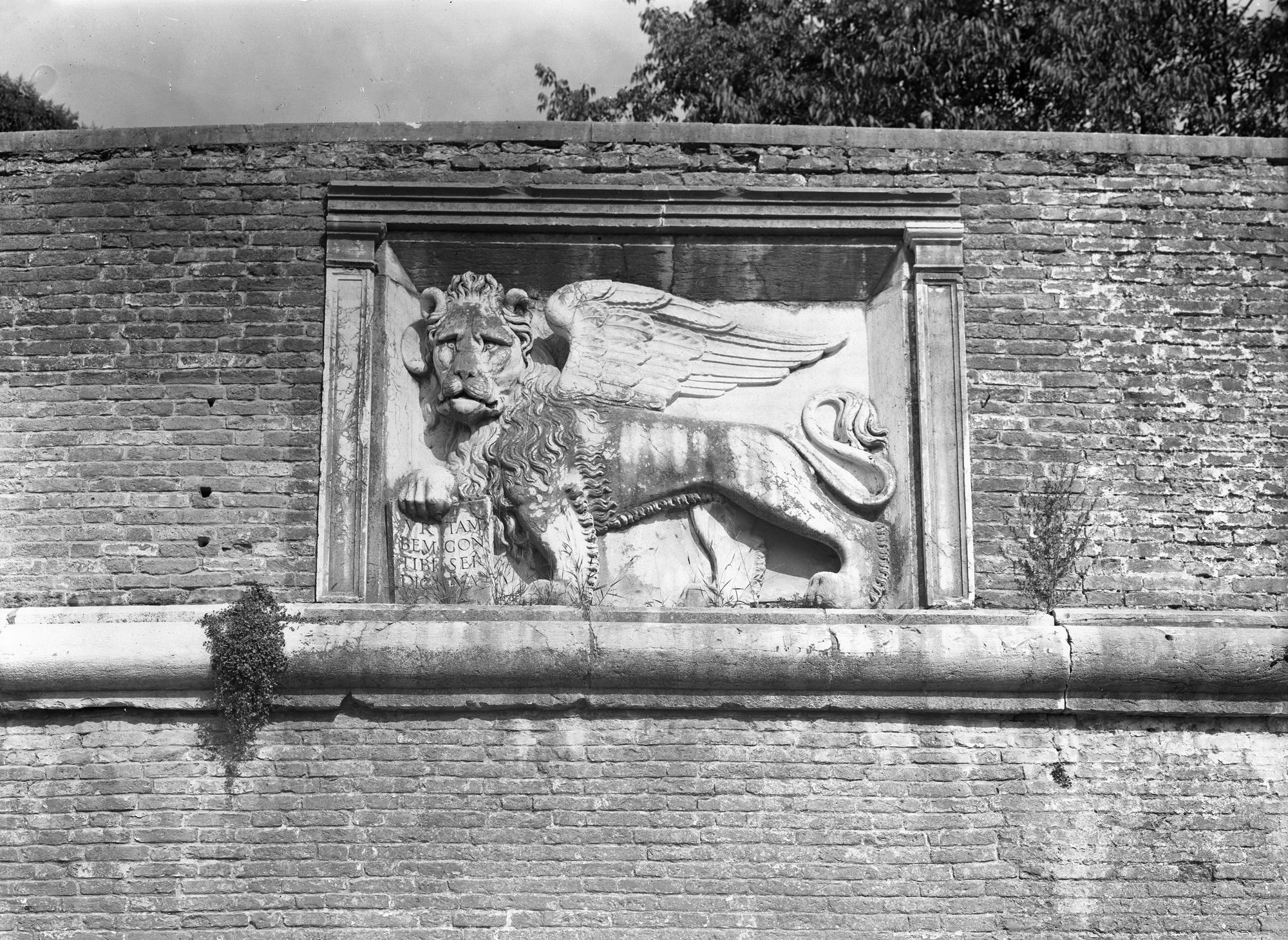 Bastione. Il leone del Portello (negativo) di Gabinetto fotografico (XX)