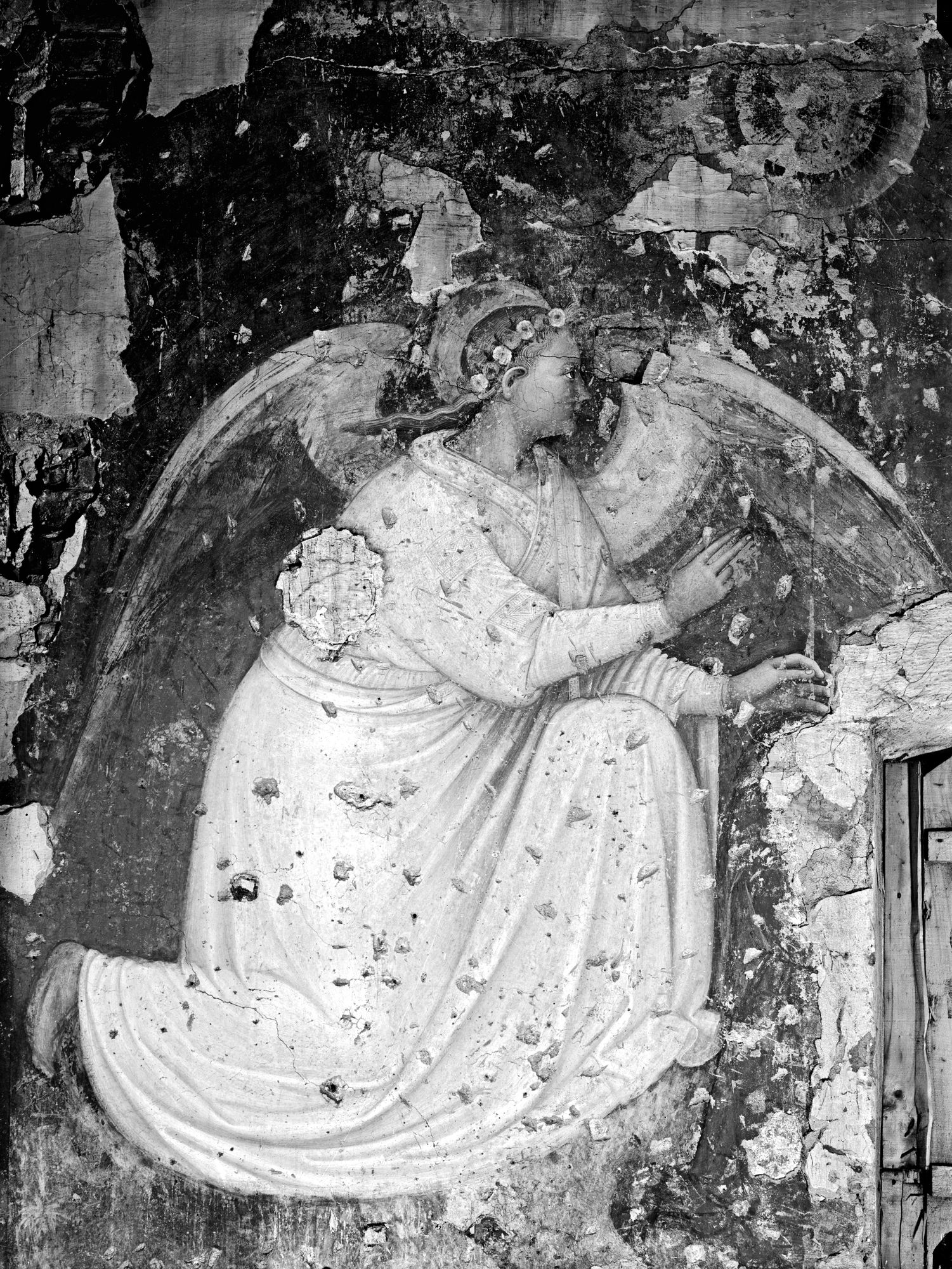 Chiesa Santa Caterina. L' angelo annunziante (negativo) di Gabinetto fotografico (XX)