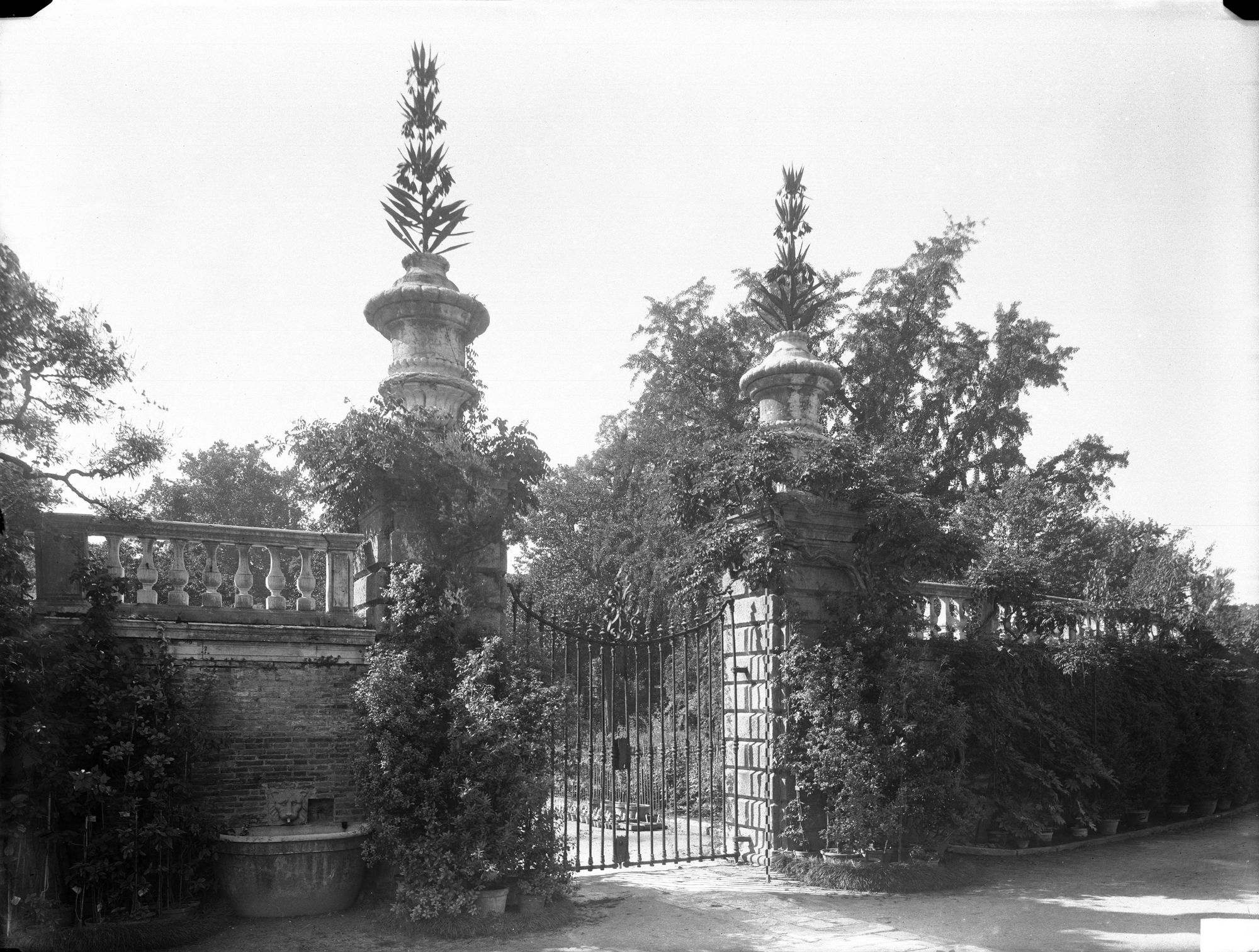 Orto botanico ( 1545 ) arch. Andrea Morani (negativo) di Gabinetto fotografico (XX)