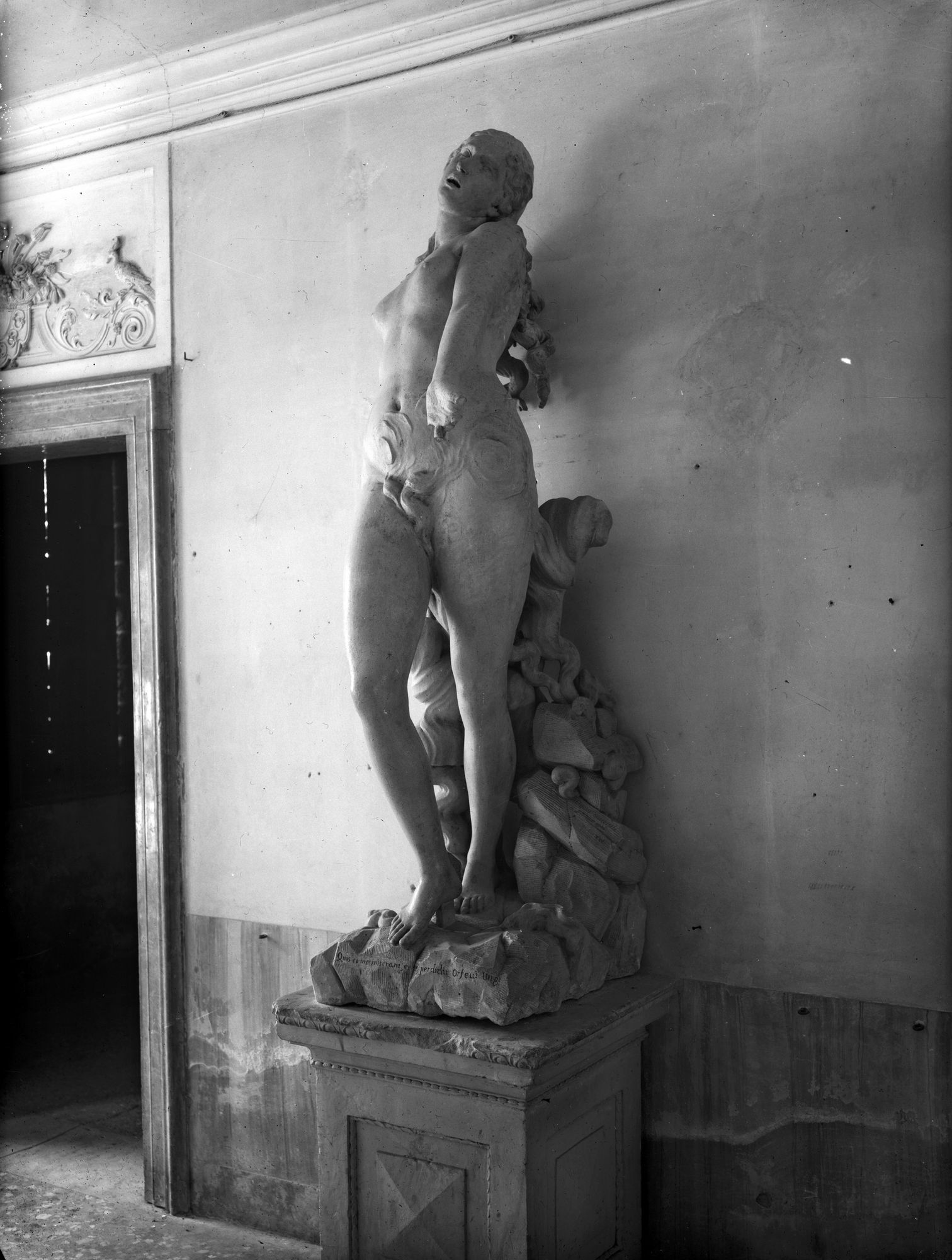 Villa Falier. Canova. Euridice (negativo) di Gabinetto fotografico (XX)