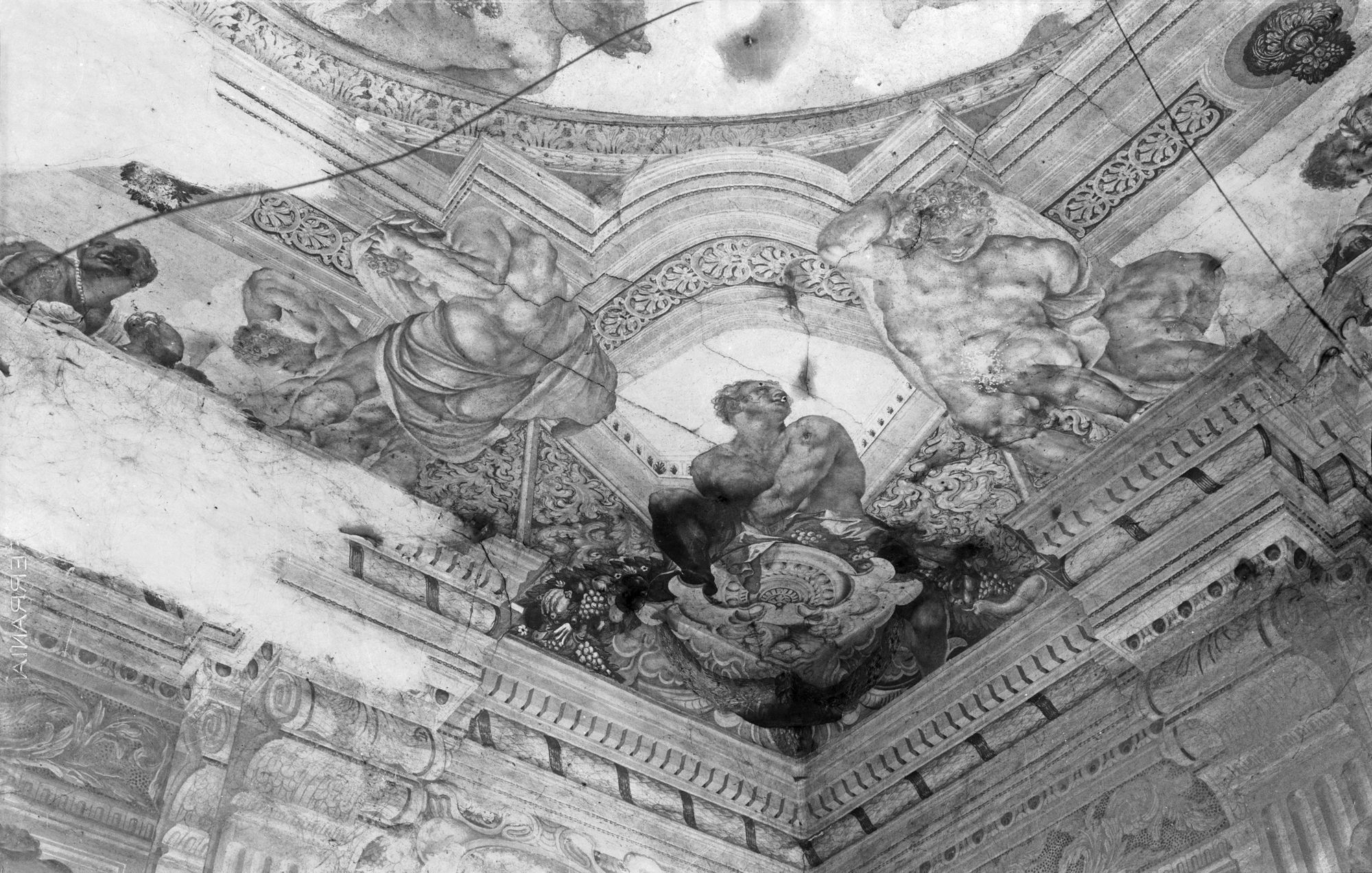 Villa Minelli. Particolari degli affreschi del soffitto (negativo) di Gabinetto fotografico (XX)