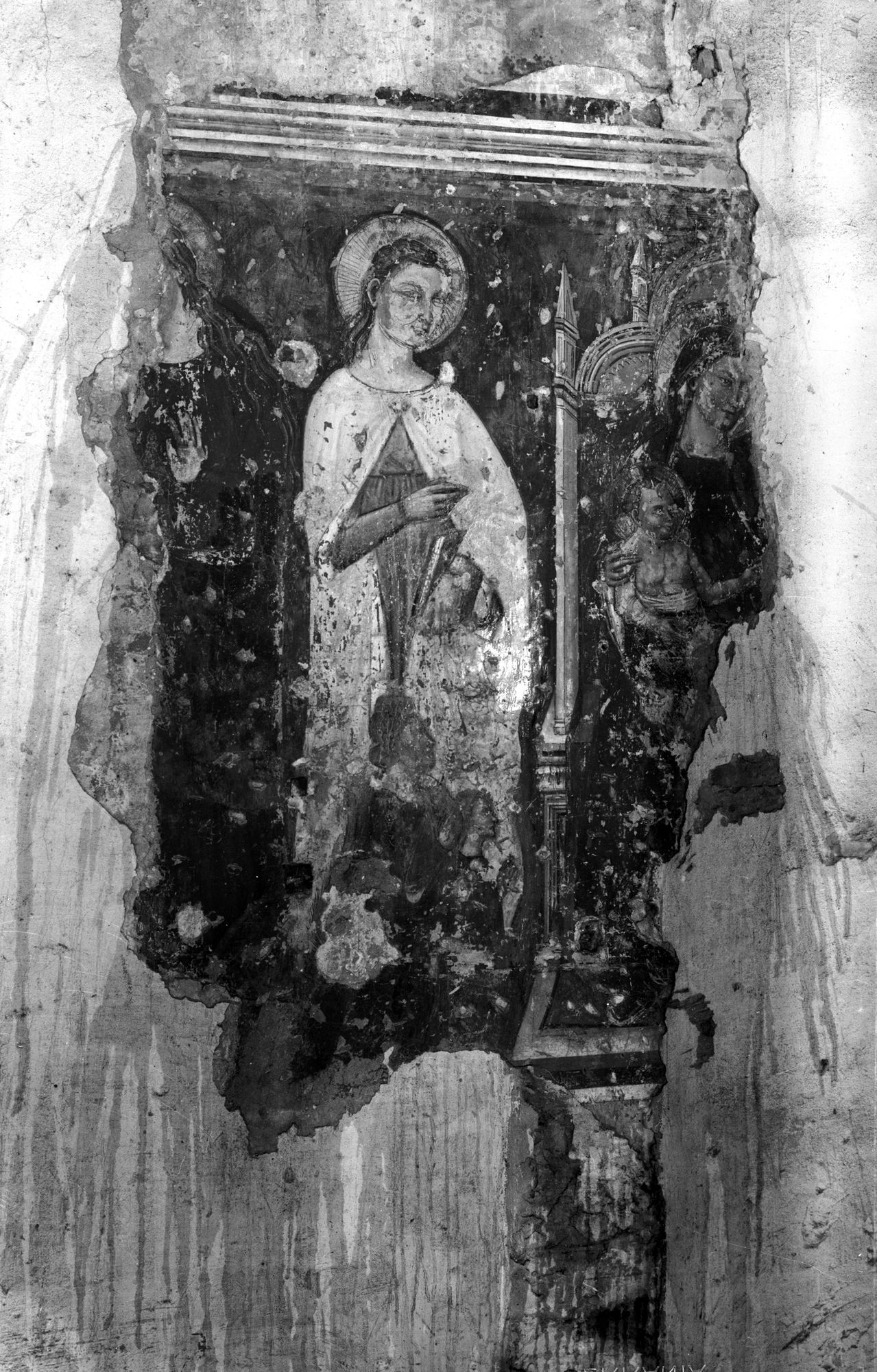Chiesa Santa Caterina. Madonna in trono. Santi e devoti. Sec. XV (negativo) di Gabinetto fotografico (XX)
