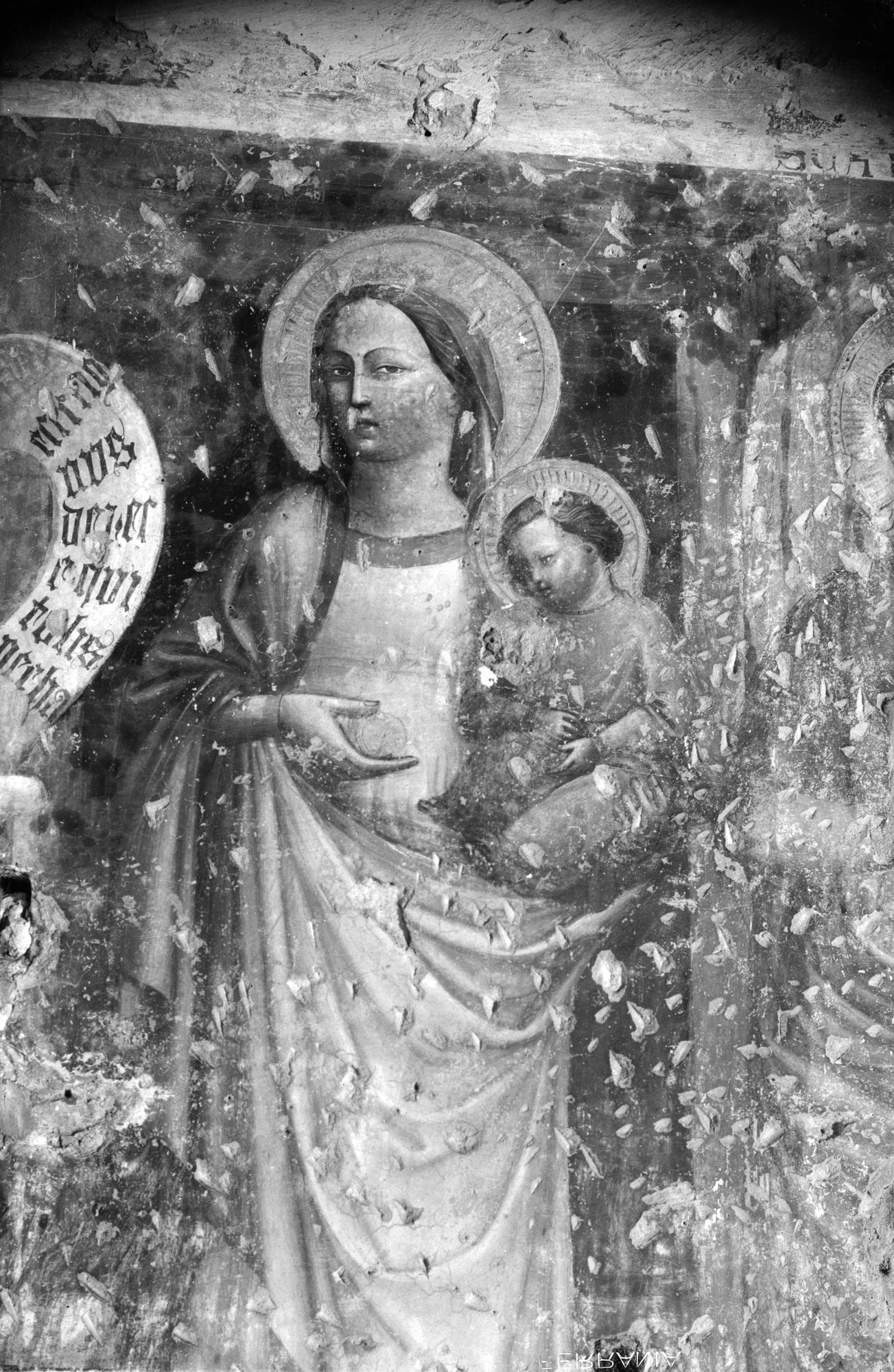 Chiesa Santa Caterina. Madonna e Bambino (negativo) di Gabinetto fotografico (XX)
