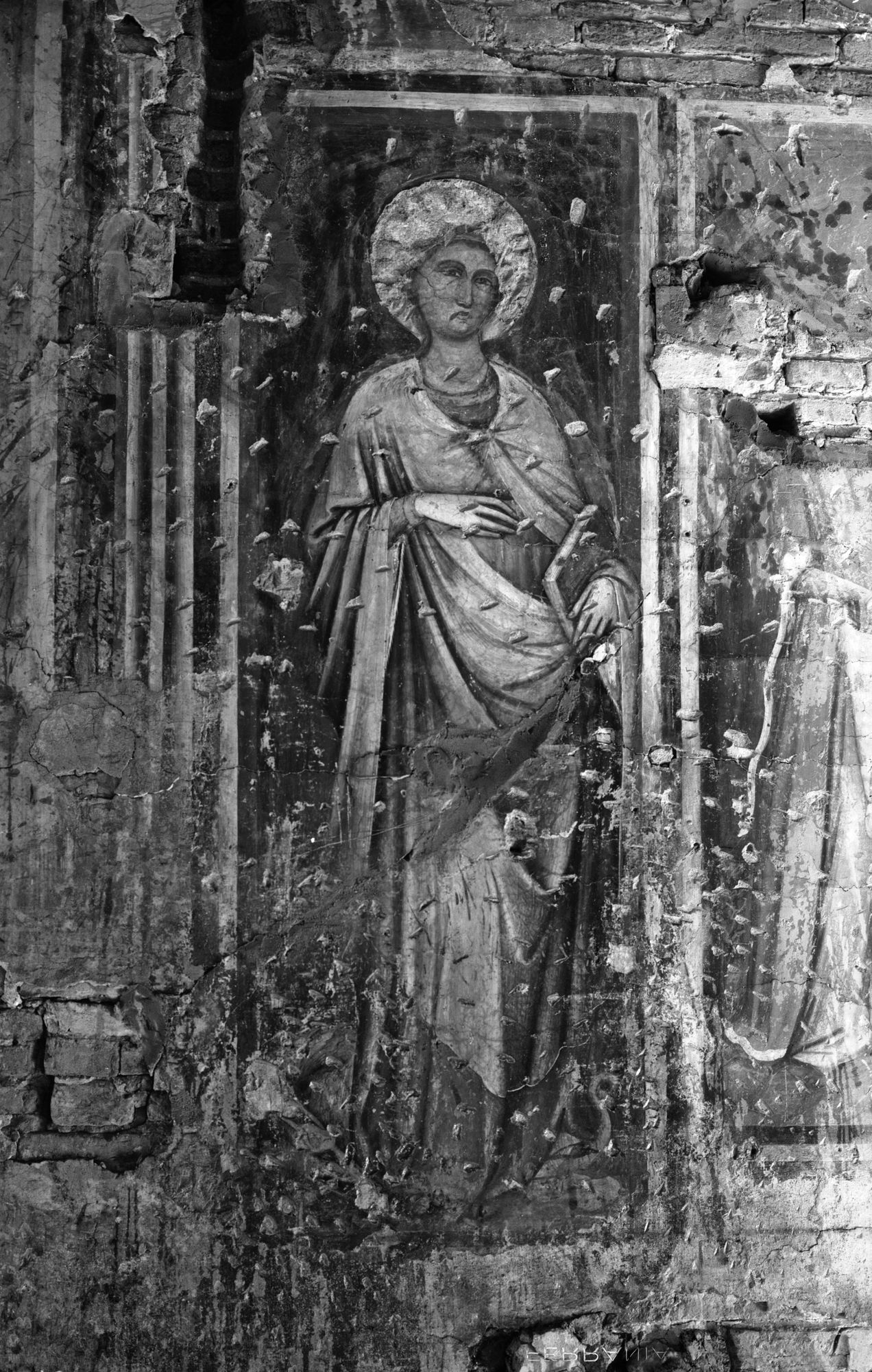 Chiesa Santa Caterina. Una santa, affresco (negativo) di Gabinetto fotografico (XX)