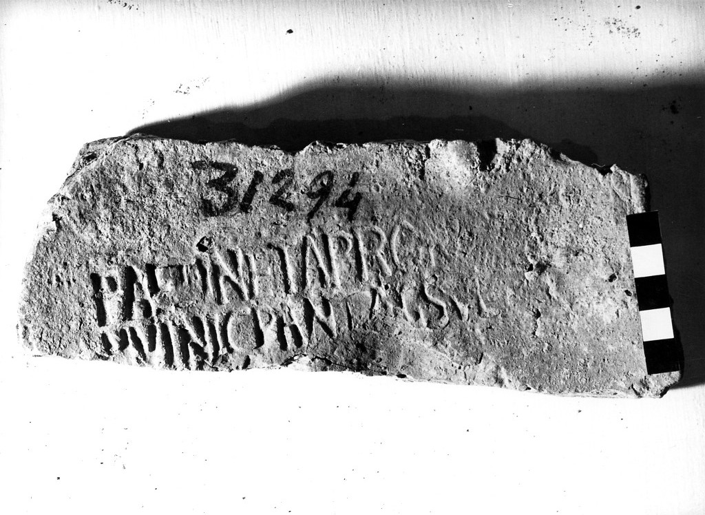 laterizio/ frammento/ con bollo - figlinae sulpicianae (primo quarto sec. II d.C)