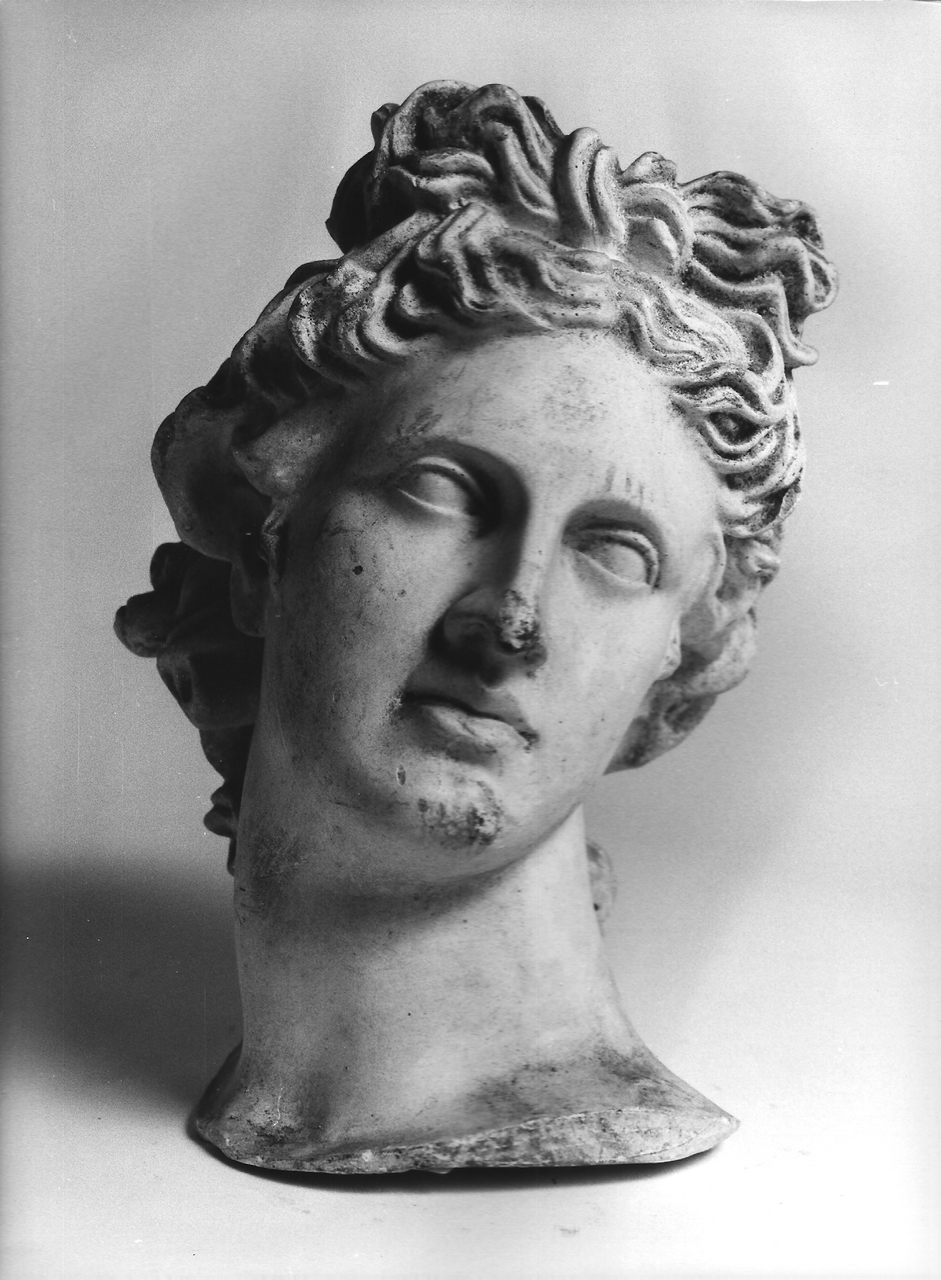 testa di Apollo del Belvedere (calco, opera isolata) - produzione coreglina (fine sec. XIX)