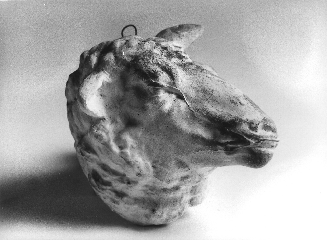 testa di pecora (calco, opera isolata) - produzione coreglina (fine sec. XIX)