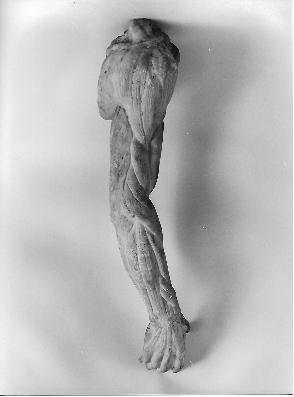 braccio destro (calco, opera isolata) - produzione coreglina (fine sec. XIX)