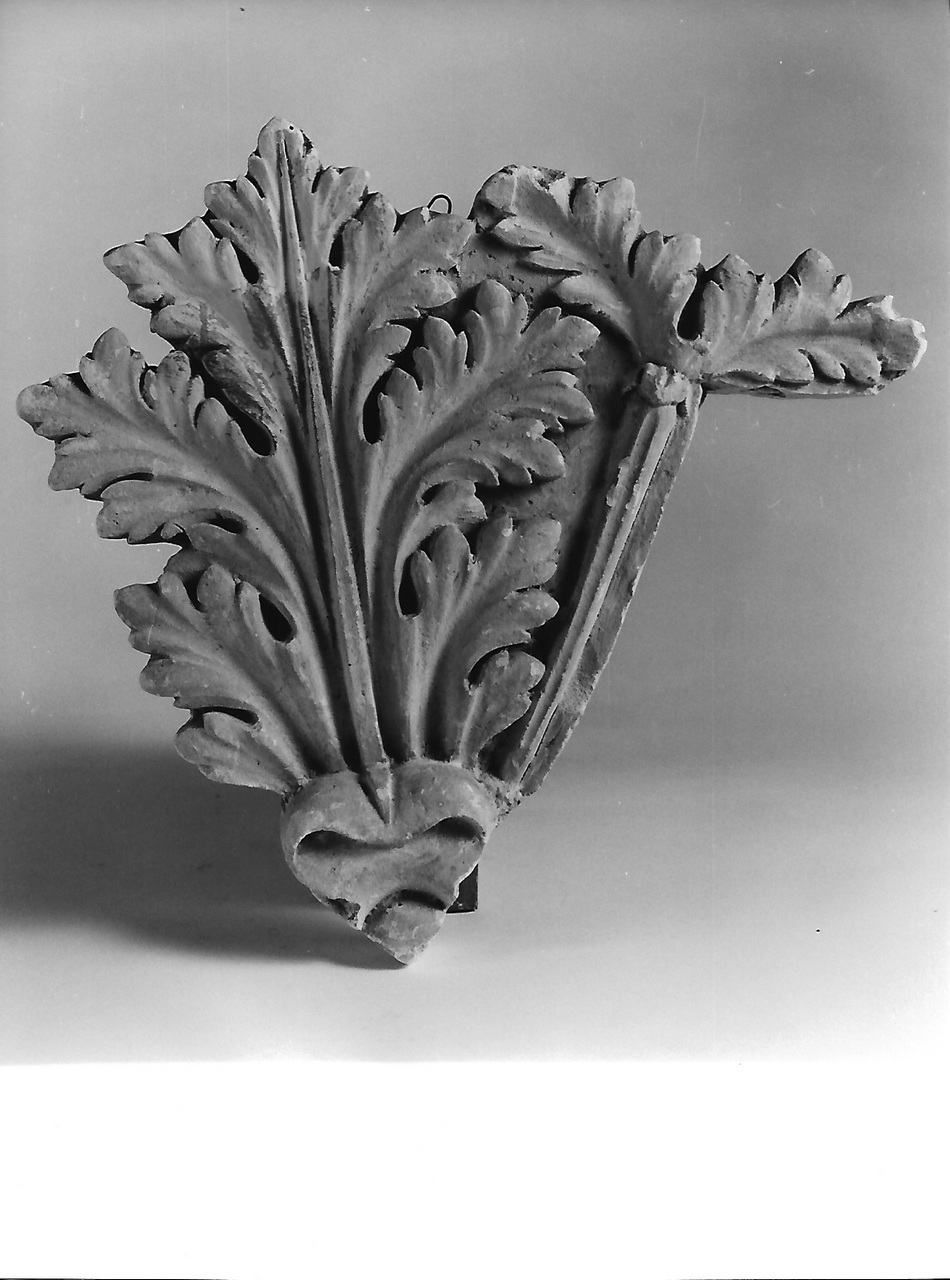 motivo decorativo con foglie d'acanto (calco, opera isolata) - produzione coreglina (fine sec. XIX)