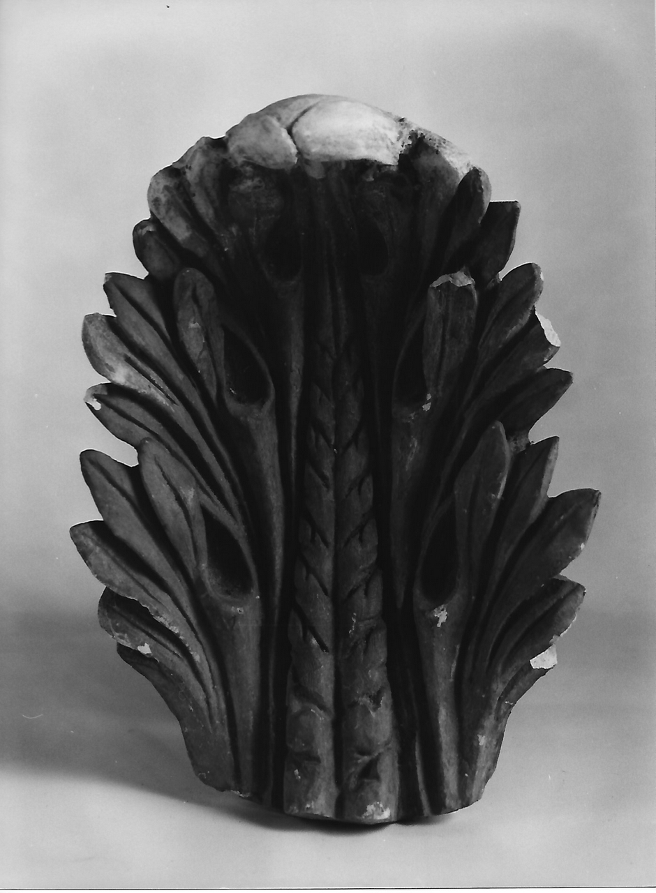 motivo decorativo a foglie d'acanto (calco, opera isolata) - produzione coreglina (fine sec. XIX)