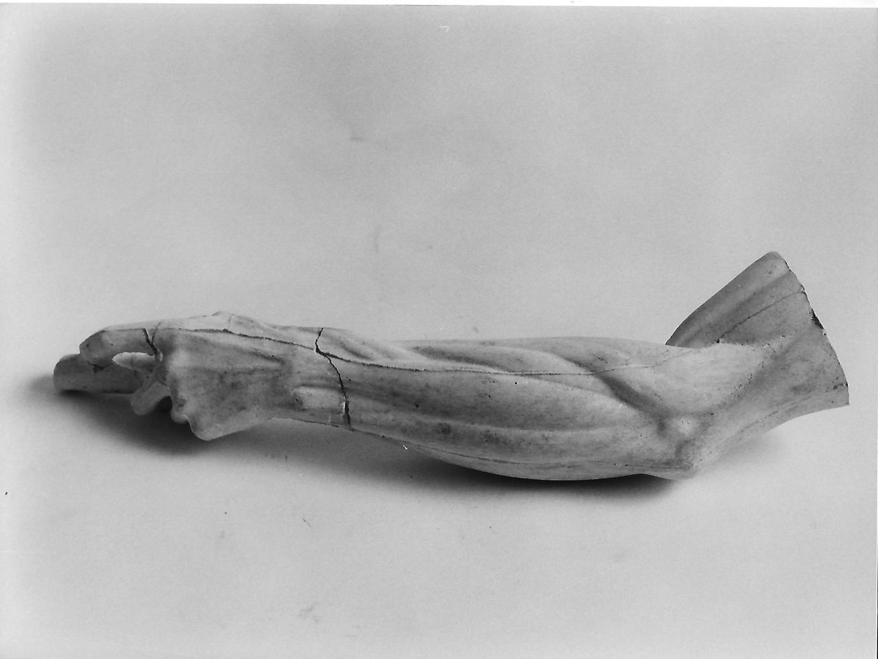 braccio sinistro virile con bastoncino tenuto nella mano (calco, opera isolata) - bottega coreglina (sec. XIX)