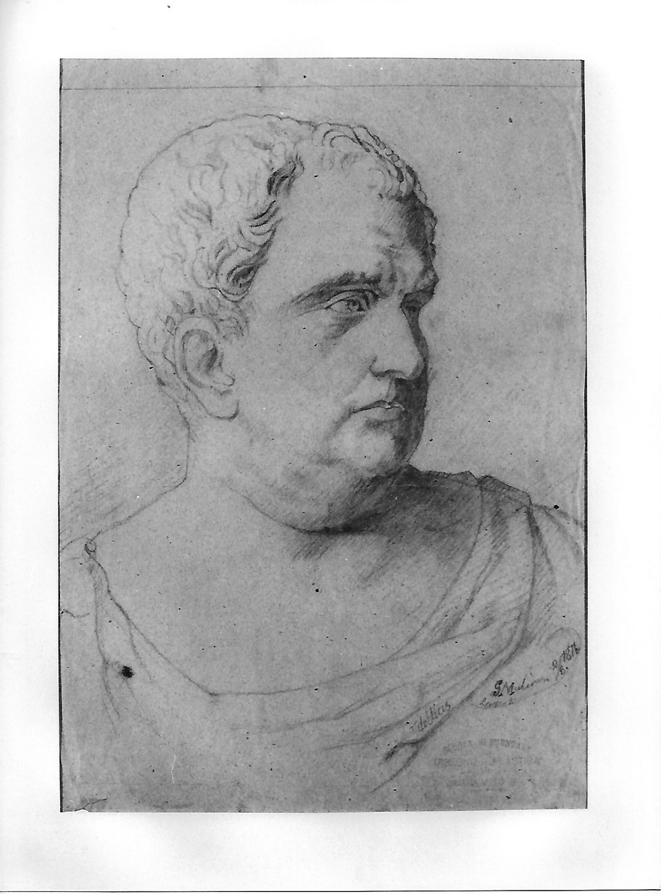 busto maschile (disegno, opera isolata) - produzione coreglina (sec. XIX)