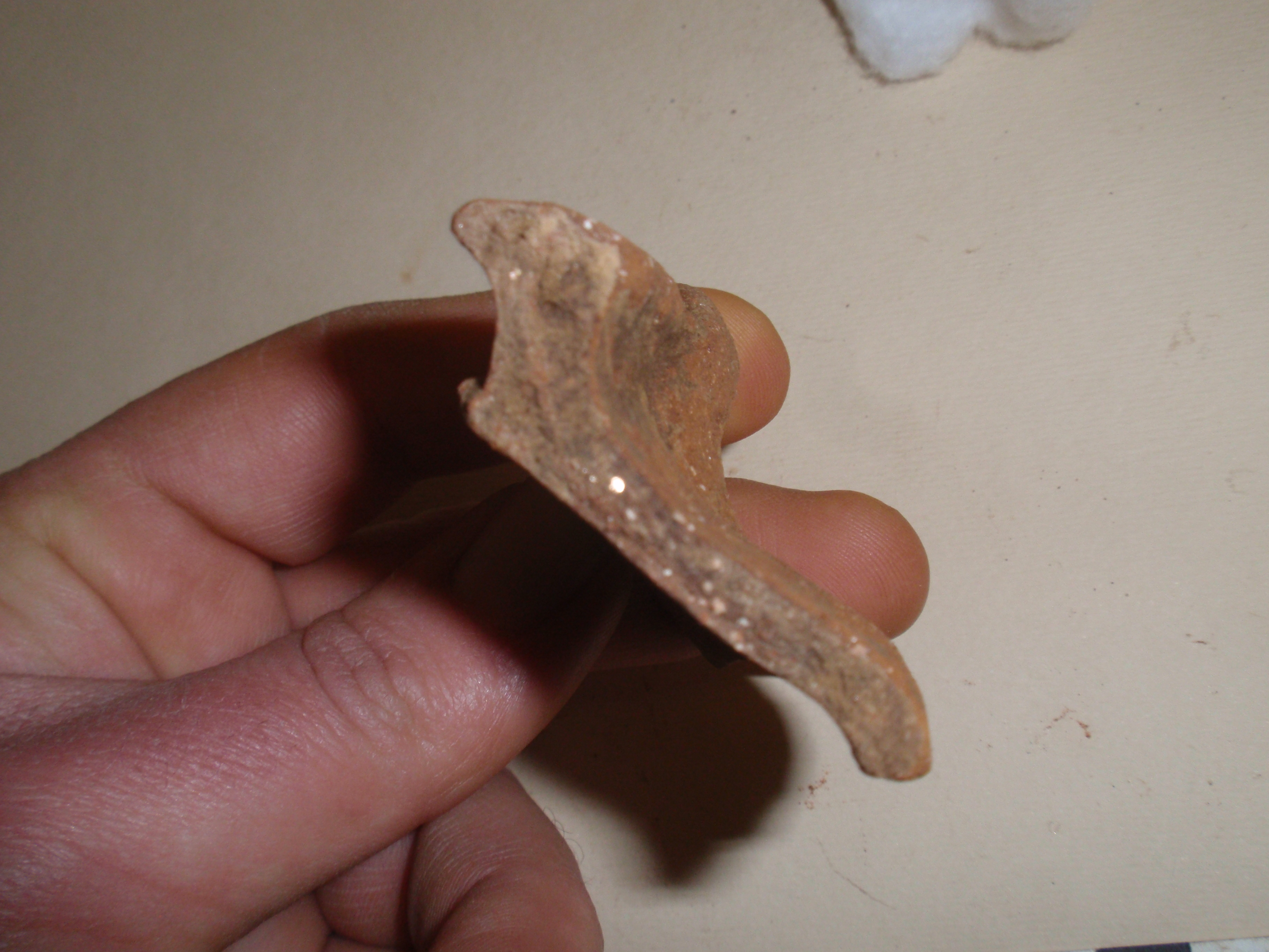 olla, in ceramica comune da cucina (seconda metà IV a.C)