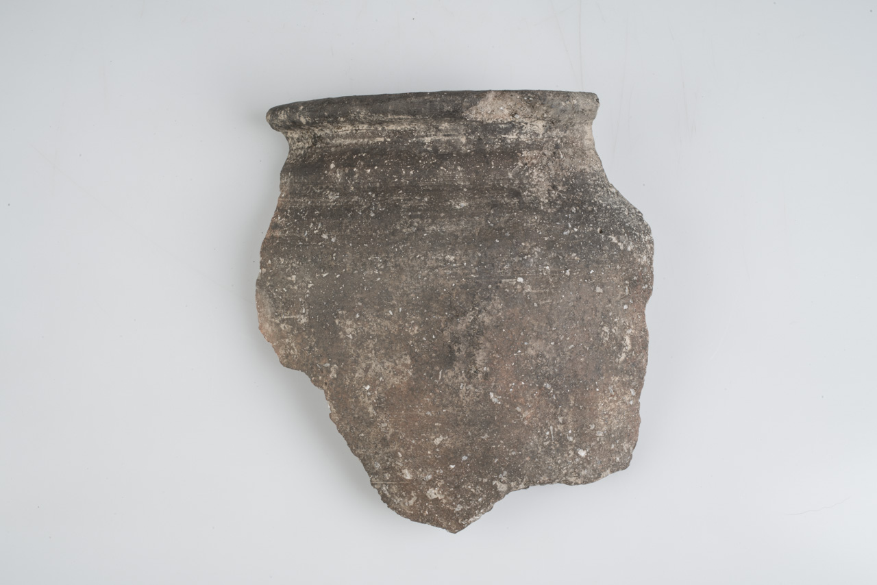 bicchiere/ frammento - ambito protostorico veneto (VII sec. a.C. - VI sec. a.C)