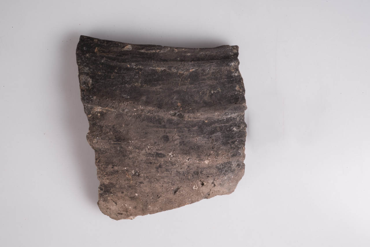 grande contenitore/ frammento - ambito nord-padano (Età del Bronzo medio-recente)