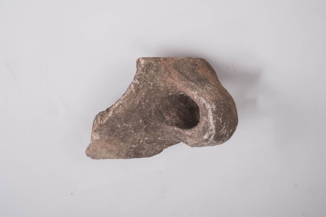 tazza/ frammento - ambito nord-padano (Età del Bronzo medio-recente)