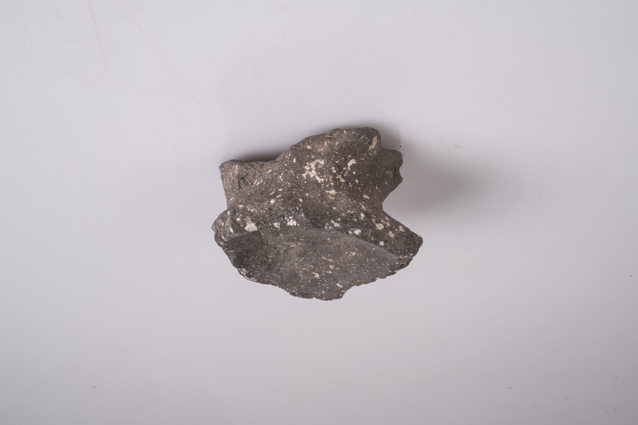 coppa-coperchio/ frammento - ambito protostorico veneto (VII-IV a.C)